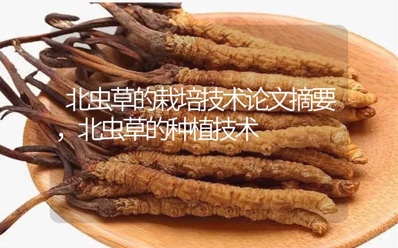 北蟲草的栽培技術(shù)論文摘要，北蟲草的種植技術(shù)