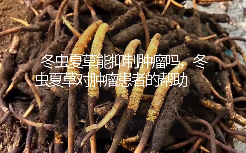 冬蟲夏草能抑制腫瘤嗎？冬蟲夏草對腫瘤患者的幫助