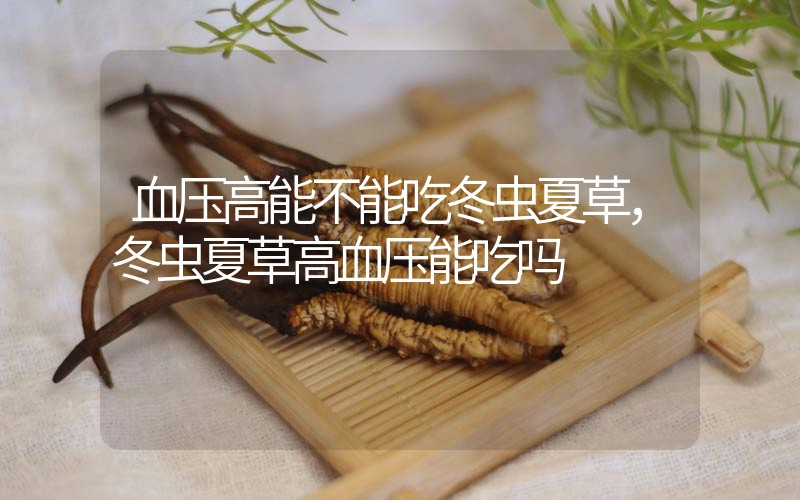 血壓高能不能吃冬蟲(chóng)夏草，冬蟲(chóng)夏草高血壓能吃嗎？