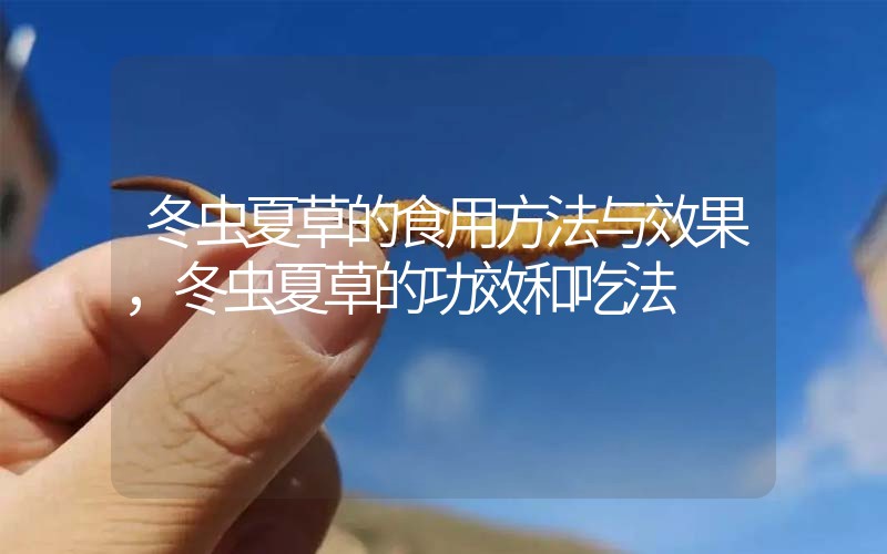 冬蟲(chóng)夏草的食用方法與效果，冬蟲(chóng)夏草的食用方法！
