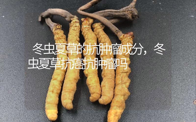 冬蟲夏草的抗腫瘤成分，冬蟲夏草抗癌抗腫瘤嗎？