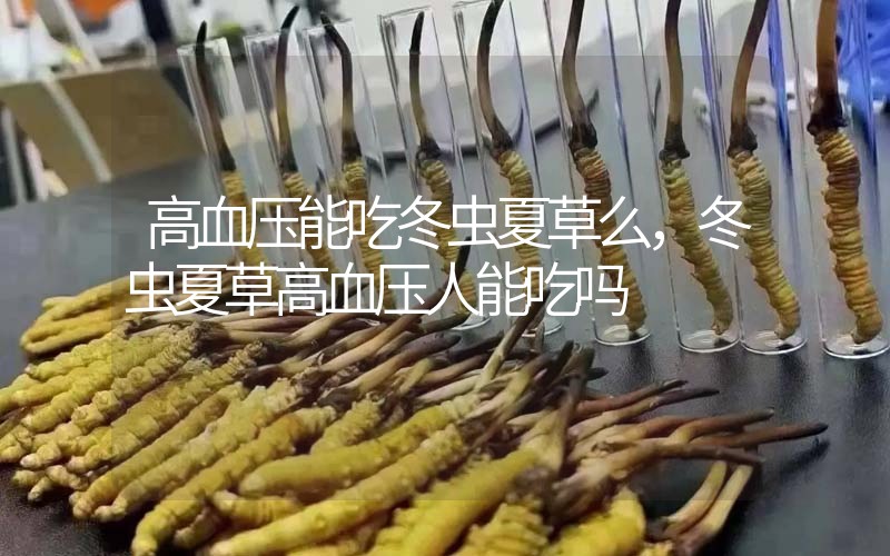 高血壓能吃冬蟲夏草么，冬蟲夏草高血壓人能吃嗎