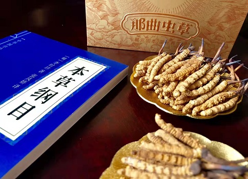 冬蟲夏草真就那么好嗎？它的主要功能是什么呀