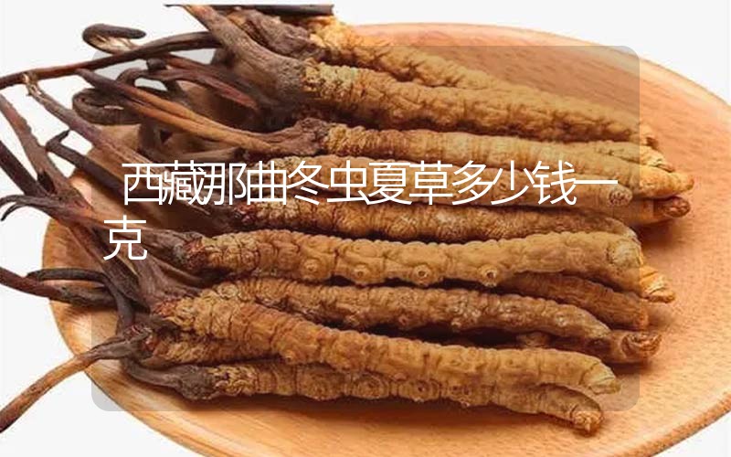 西藏那曲冬蟲夏草多少錢一克？