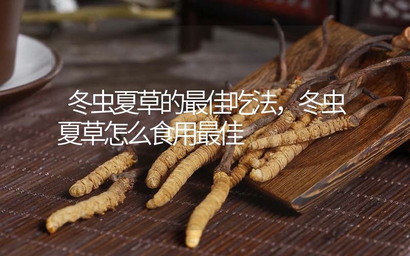 冬蟲(chóng)夏草的最佳吃法，冬蟲(chóng)夏草怎么食用最佳