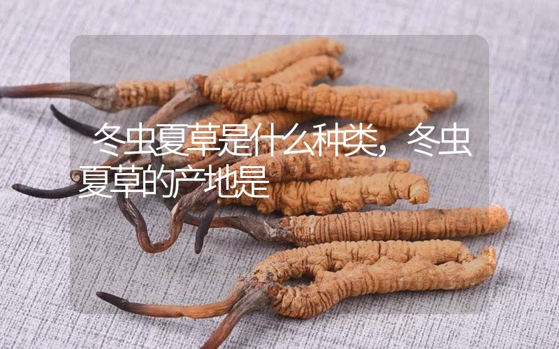 冬蟲(chóng)夏草是什么種類，冬蟲(chóng)夏草的產(chǎn)地是