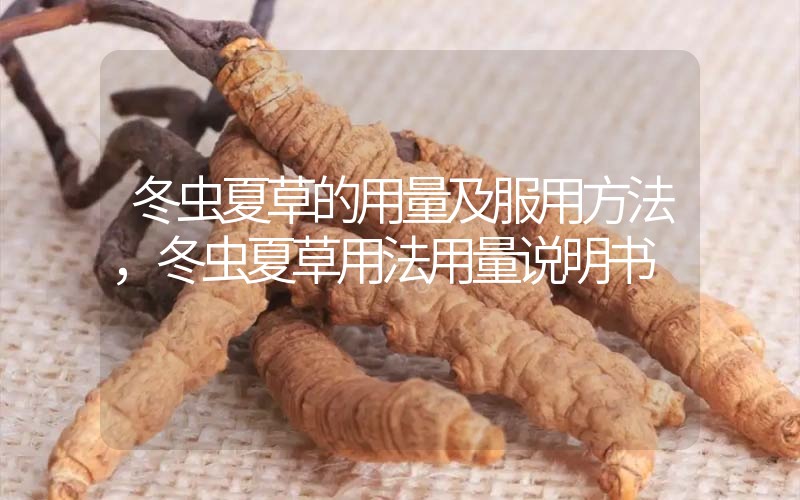 冬蟲夏草的用量及服用方法，冬蟲夏草用法用量