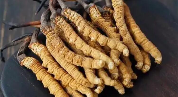 玉樹(shù)雜多：開(kāi)展蟲(chóng)草采挖季防雷科普宣傳工作