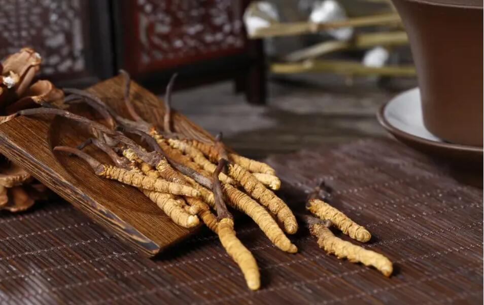 冬蟲夏草怎么選擇，冬蟲夏草選怎么樣的最好?