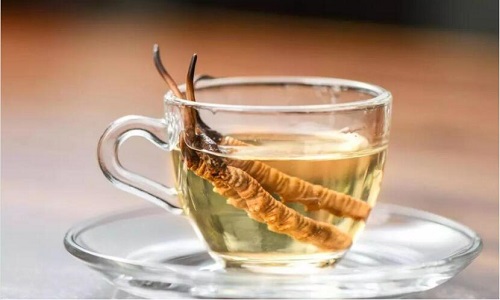 冬蟲夏草怎么吃最好？冬蟲夏草最佳的吃法