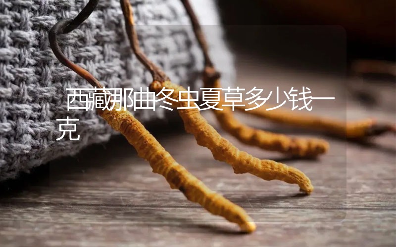 西藏那曲冬蟲夏草多少錢一克？