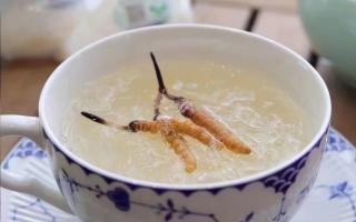 推薦幾款冬蟲(chóng)夏草配伍的藥膳
