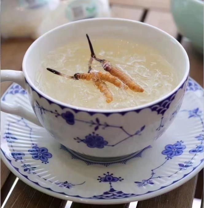 養(yǎng)生小竅門：冬蟲夏草燉什么好喝？