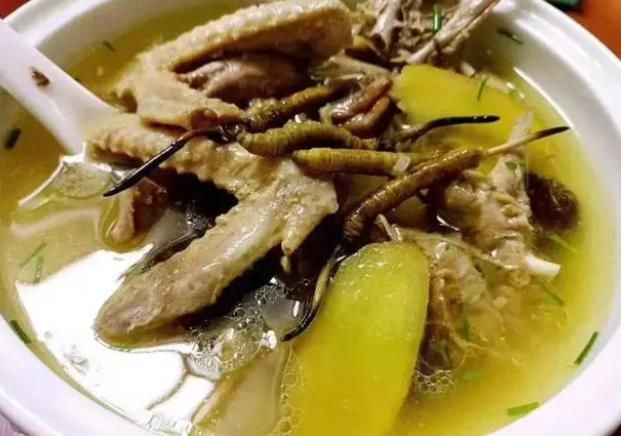 冬蟲(chóng)夏草和哪些食材可以一起煲湯？