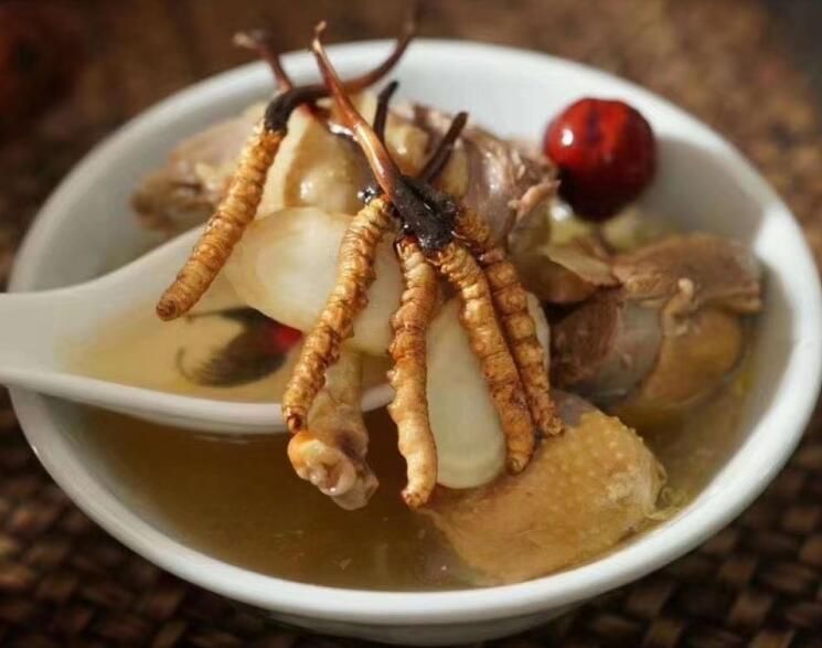 冬蟲夏草可以空腹吃嗎？