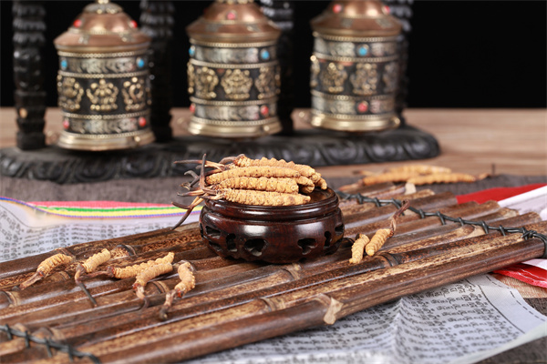 冬蟲(chóng)夏草和夏威夷果搭配的吃法