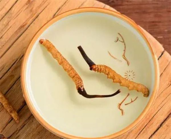 枸杞鎖陽(yáng)冬蟲(chóng)夏草泡酒 制作枸杞鎖陽(yáng)冬蟲(chóng)夏草泡酒的詳細(xì)步驟