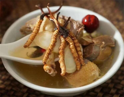 冬蟲夏草可以燉海鯽魚嗎？