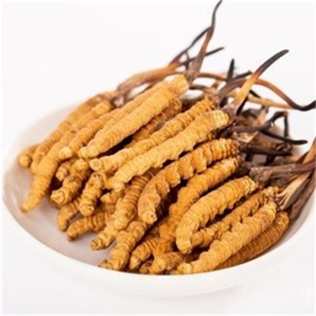 真的冬蟲(chóng)夏草什么價(jià)格？冬蟲(chóng)夏草價(jià)格的波動(dòng)與市場(chǎng)影響因素