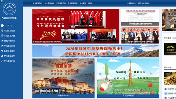 <a href=http://m.sdzhinong.com/ target=_blank class=infotextkey><a href=http://m.sdzhinong.com/ target=_blank class=infotextkey>西藏<a href=http://m.sdzhinong.com/ target=_blank class=infotextkey><a href=http://m.sdzhinong.com/s/nqcc/ target=_blank class=infotextkey>那曲蟲草</a></a></a>網(wǎng)</a>圖片