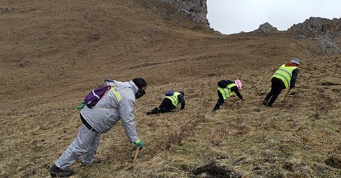 <a href=http://m.sdzhinong.com/sdph/zf/ target=_blank class=infotextkey>珍峰冬蟲(chóng)夏草</a>:源自世界屋脊的養(yǎng)生瑰寶