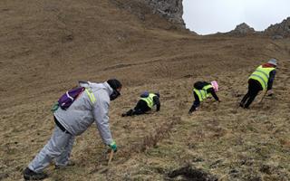 珍峰冬蟲夏草：源自世界屋脊的養(yǎng)生瑰寶
