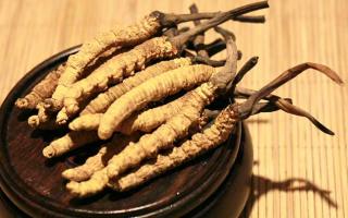 冬蟲夏草的價(jià)格一克：為何如此昂貴？