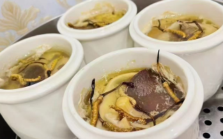 冬蟲夏草有營養(yǎng)價值嗎