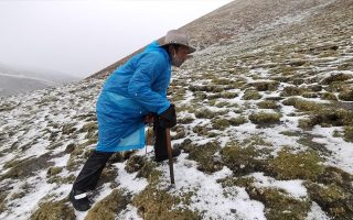 探秘冬蟲(chóng)夏草采摘季