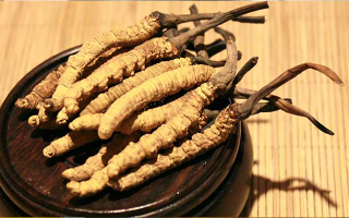 未來冬蟲夏草會漲價嗎？