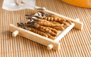 新鮮蟲草價(jià)格多少錢一克