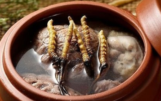 鮮冬蟲(chóng)夏草吃多會(huì)上火嗎？一文解析真相
