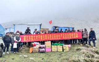 西藏加查：蟲(chóng)草采挖季 黨群同心共繪豐收畫卷