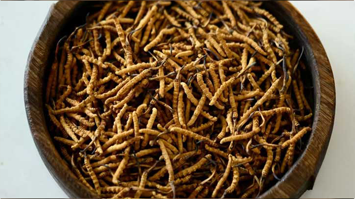 <a href=http://m.sdzhinong.com/jiage/ target=_blank class=infotextkey>冬蟲夏草價格</a>探秘：多因素交織下的市場行情