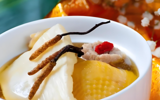 冬蟲夏草每天什么時(shí)候吃最好？一文詳解最佳食用時(shí)間