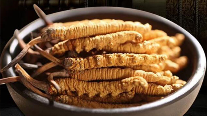 冬蟲夏草燉湯會(huì)上火嗎？科學(xué)解析滋補(bǔ)與上火的平衡之道