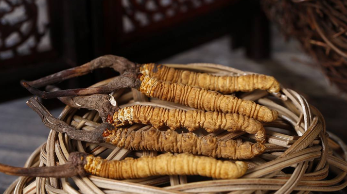 冬蟲(chóng)夏草價(jià)格:波動(dòng)中的 “軟黃金” 價(jià)值剖析