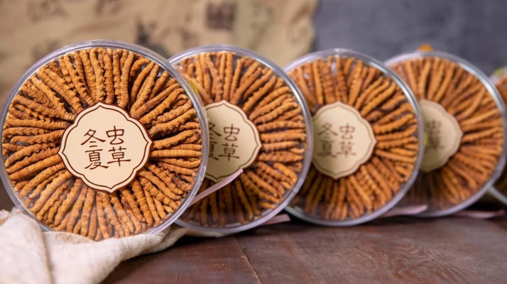 同仁堂<a href=http://m.sdzhinong.com/chanpin/ target=_blank class=infotextkey>冬蟲夏草禮盒</a>：珍稀饋贈，品質(zhì)之選