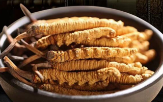 好的冬蟲(chóng)夏草多少錢一克