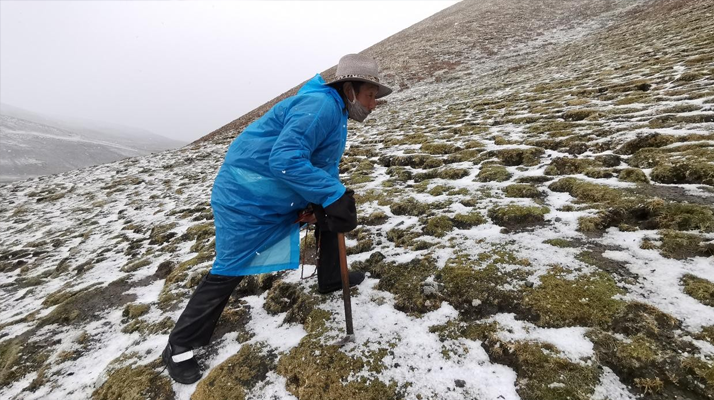 冬蟲夏草長(zhǎng)在什么季節(jié)?