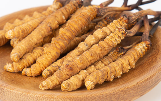 冬蟲夏草怎么驗真假？教你幾招秒判斷真?zhèn)蚊丶?> </div>
            <div   id=