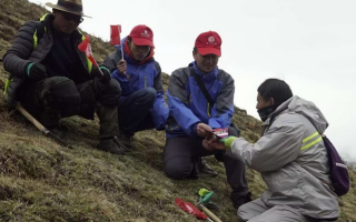 正規(guī)冬蟲夏草哪家好？選擇優(yōu)質(zhì)品牌，守護(hù)健康的秘鑰！