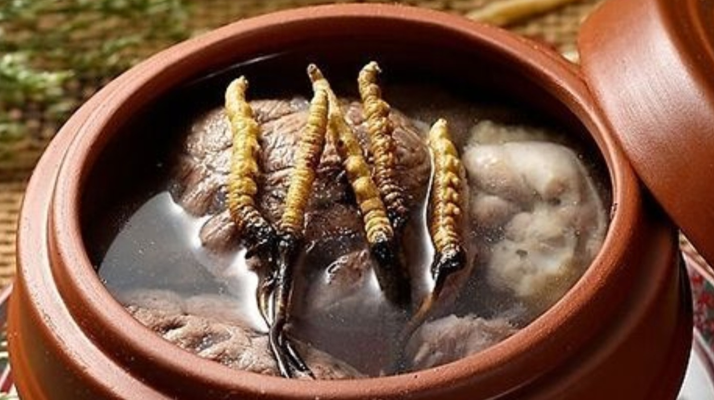 冬蟲(chóng)夏草燉雞能放多久