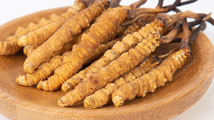 在西藏，冬蟲夏草真的觸手可得？