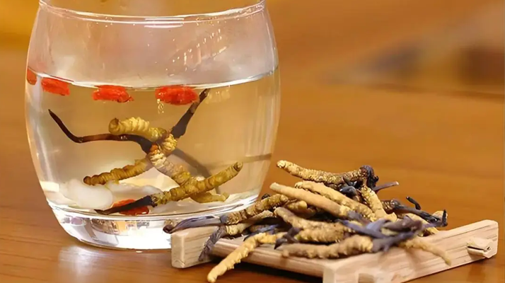 冬蟲夏草與枸杞能一起泡酒嗎？科學(xué)搭配與飲用指南