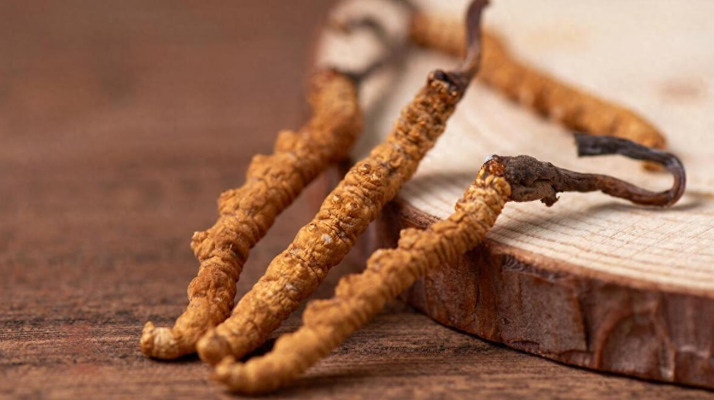 純野生<a href=http://m.sdzhinong.com/jiage/ target=_blank class=infotextkey>冬蟲夏草價格</a>剖析：多因素交織下的價值體現(xiàn)