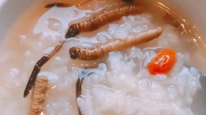 冬蟲夏草適合哪些人群？精準匹配與禁忌提醒