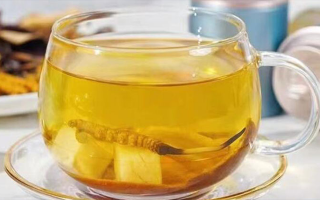 新鮮冬蟲(chóng)夏草怎么泡？解鎖鮮蟲(chóng)草的正確沖泡方式