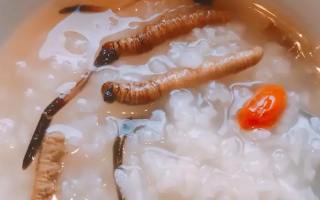 冬蟲夏草適合哪些人群？精準匹配與禁忌提醒