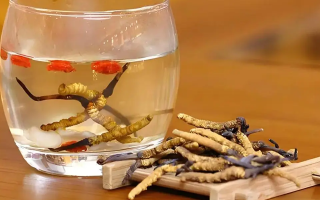 長(zhǎng)期喝冬蟲夏草泡水好嗎？科學(xué)分析與飲用指南